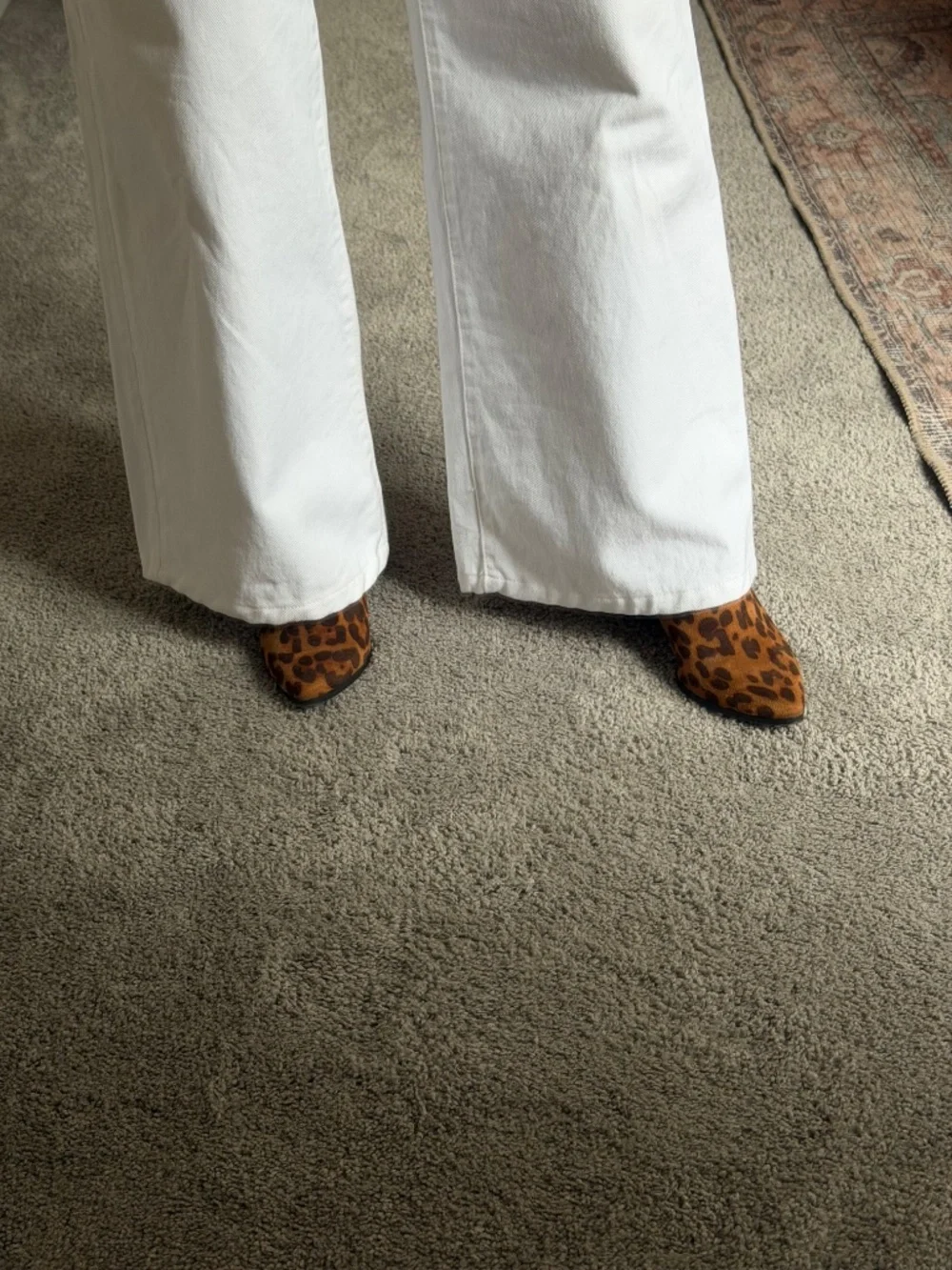 Leopard Boots size 6.5 NWOT A New Day